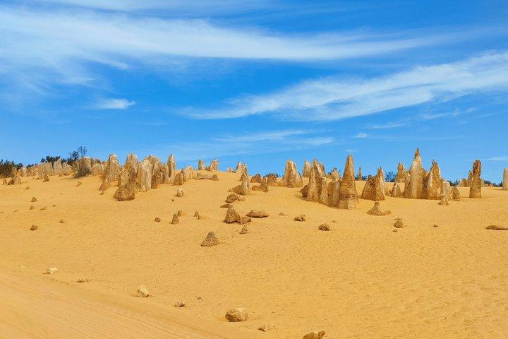 Koala, Lancelin, Wedge Island and Pinnacles Tour from Perth