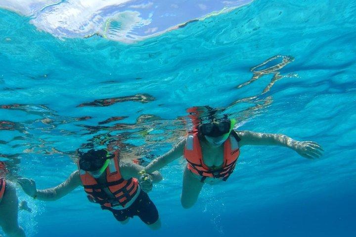 Shared Snorkeling Tour Playa El Cielo in Cozumel