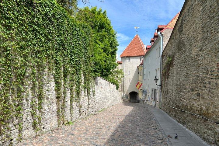 Guided Tallinn Old Town Walking Tour
