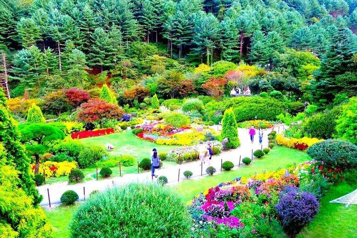 Private Hotel pickup Nami Island Rail Bike Garden of Morning Calm