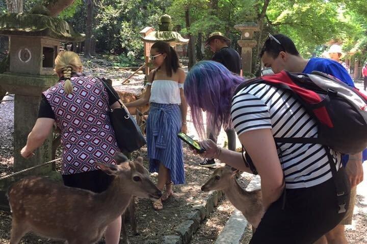 All must-sees in 3 hours - Nara Park Classic Tour! From JR Nara!