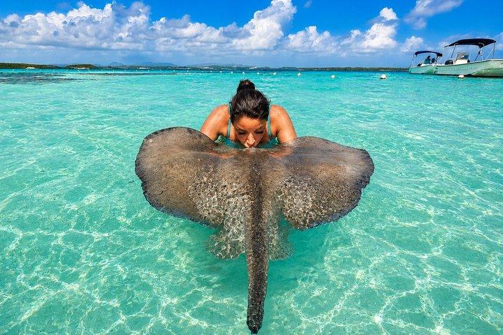 Antigua Island Tour & Stingray Encounter – Small Group Experience