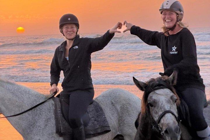 Agadir Beach Horse Riding Experience with Tea Break
