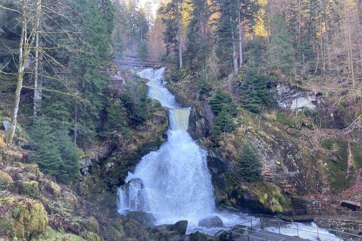 From Strasbourg: Visit to the Black Forest in Triberg, Titisee, Freiburg