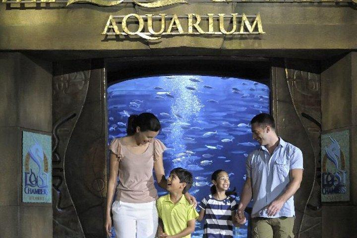 Unlimited Fun and Adrenaline at Dubai Biggest Waterpark