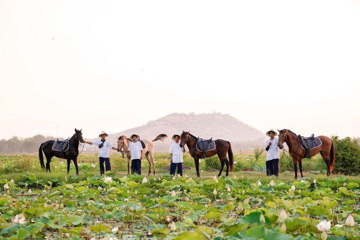 Siem Reap Horse Drawn Tour Experience
