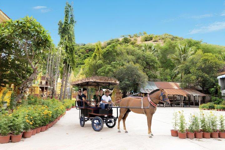 Siem Reap Horse Drawn Tour Experience
