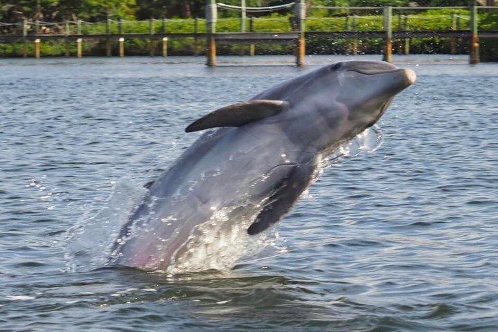 2 Hr Guaranteed Dolphin, Melbourne, ,Cocoa Beach.1030 am