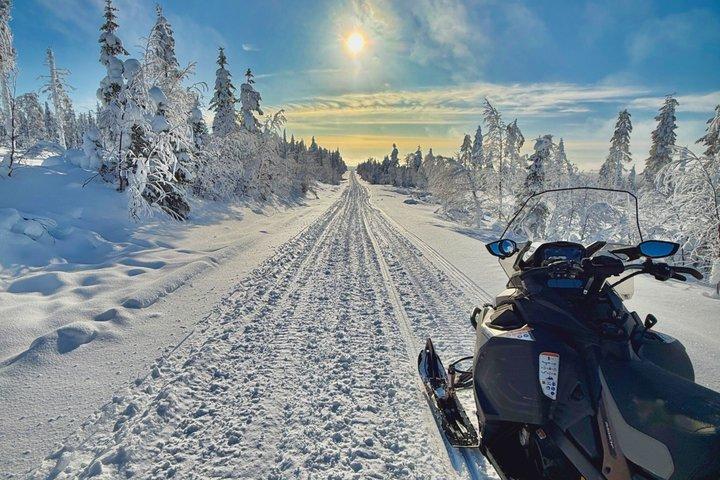 Rovaniemi: Snowmobile Wilderness Tour, Small Group & Local Guide