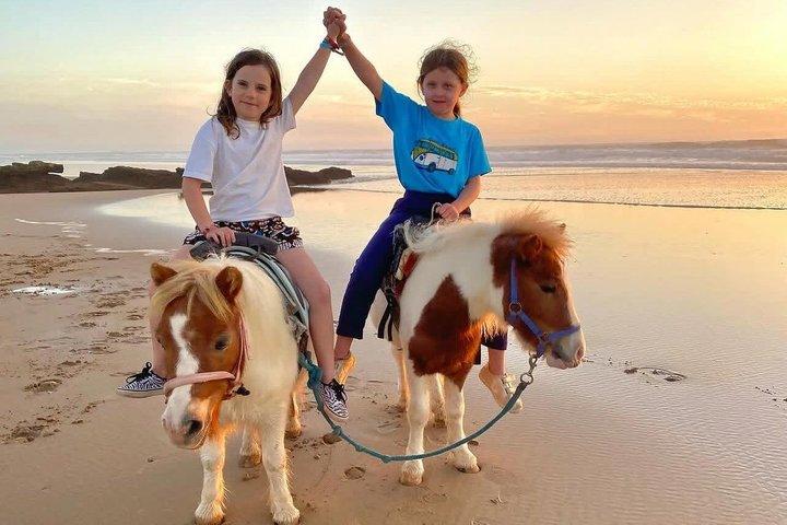 Agadir Beach Horse Riding Experience with Tea Break