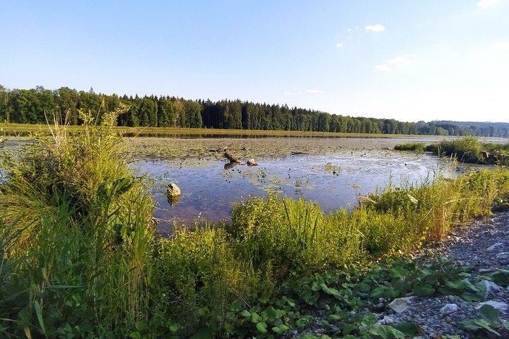 Self-guided adventure tour through the Danube Marshes