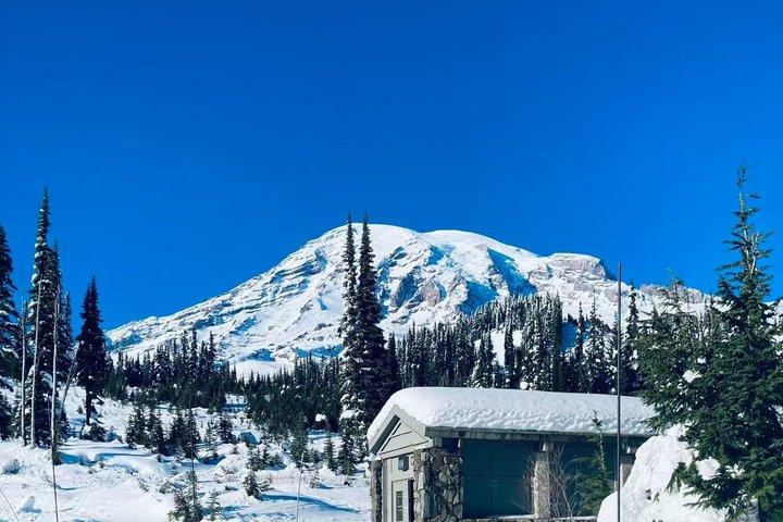 Mt Rainier National Park Small Group Tour from Seattle