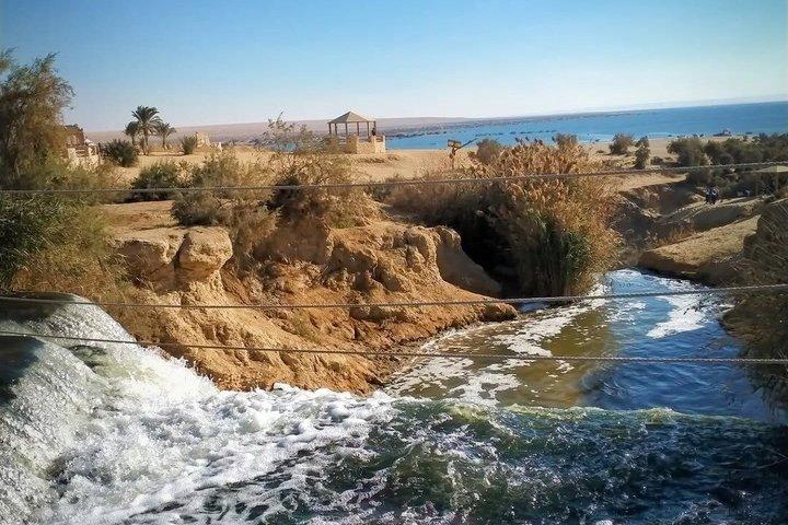 Fayoum Oasis Day Tour with Desert Safari from Cairo