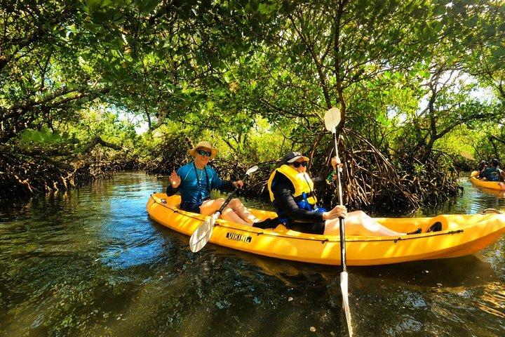 Noosa Heads: Epic Hidden Waterways & Wildlife Kayak Tour
