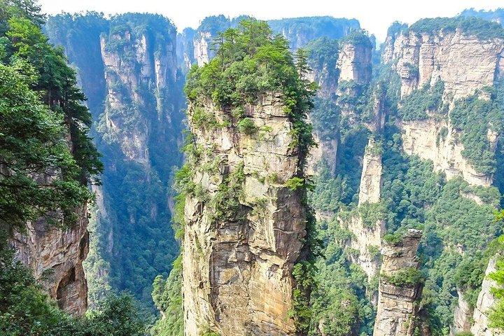 1-Day Best Mini Group & Private Tours to Mt. Avatar & Forest Park