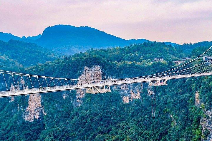 1-Day Best Mini Group & Private Tours to Mt. Avatar & Forest Park