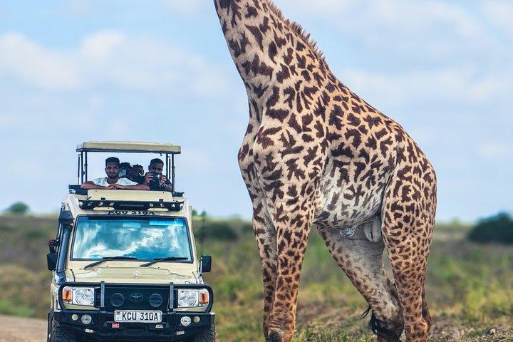 Private Tour Nairobi national park/Elephant & Giraffe centre