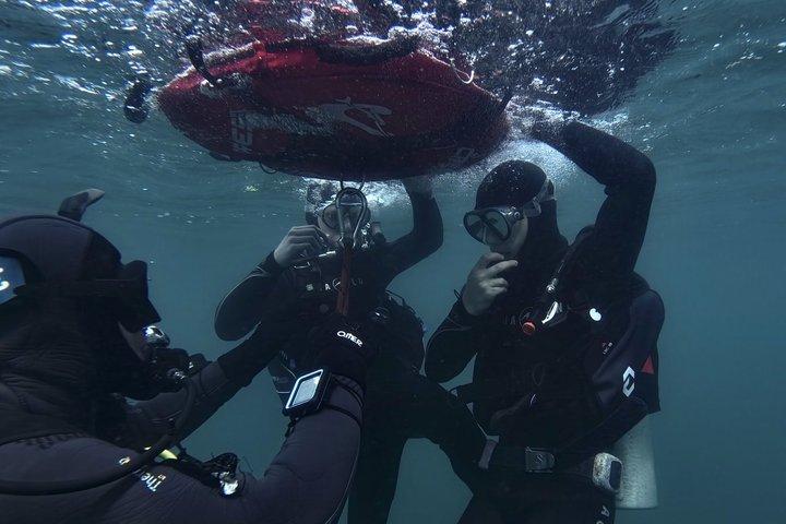 Discover Scuba Diving in the Bay Submerged Park