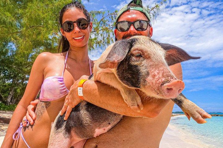 Nassau: Bahamas Swimming Pigs & Pearl Island Beach with Lunch