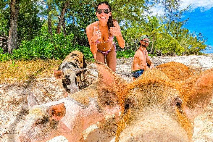 Nassau: Bahamas Swimming Pigs & Pearl Island Beach with Lunch