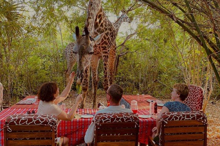 Bora Bora Wildlife Park Half Day Tour in Diani