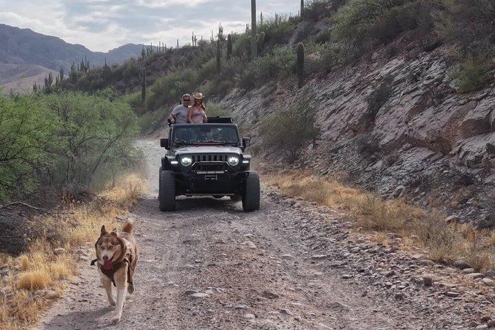 Private Jeep Off Road Adventure in Arizona Desert with Huskies