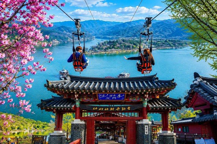 Private Tour to Alpaca world &Nami Island& Railbike with Tickets