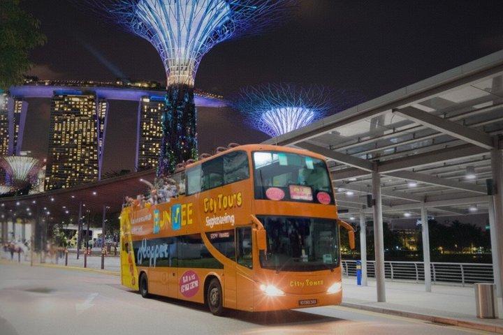 Singapore City Lights 1Hour Open Top Night Tour