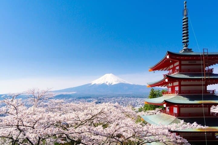 Tokyo/Mount Fuji/Hakone/Kamakura Private Charter Car Service Trip