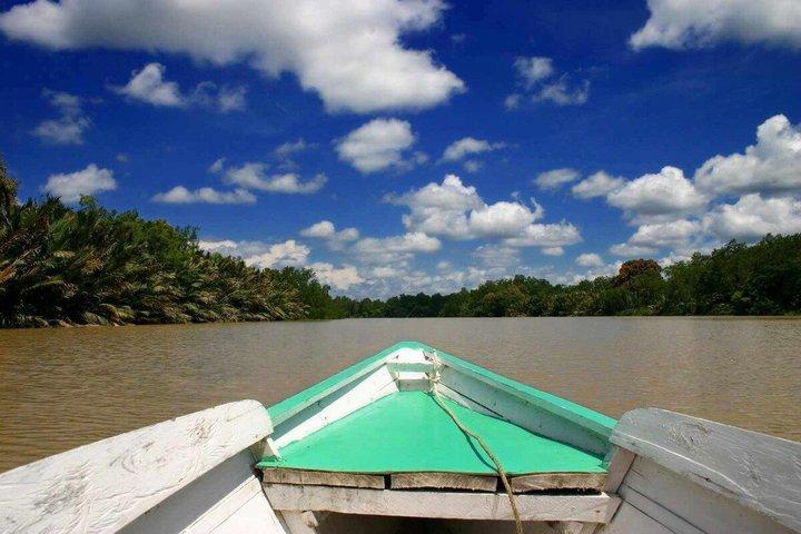 Kawa Kawa Rivercruise Proboscis Monkey and Fireflies