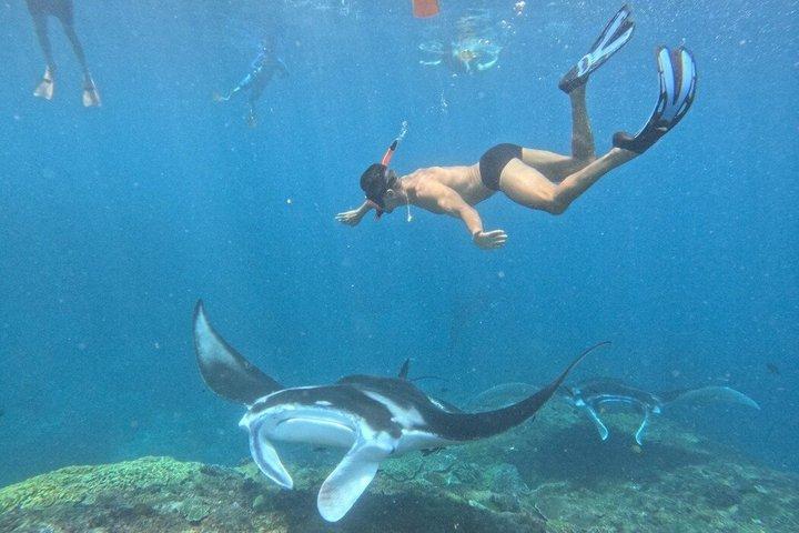 Nusa Penida Full Day Trip to West Part from Nusa Lembongan
