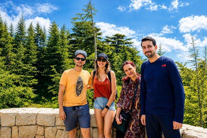 Private Full-Day Tour to Qadisha valley, Bcharre and Cedars of God from Beirut