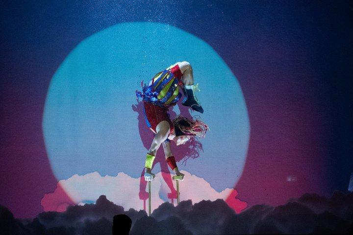 Cirque du Soleil LUDÕ