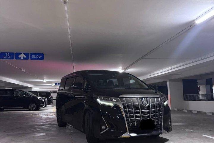 Singapore Private Airport Transfer, Hotel Departure: Meet & Greet
