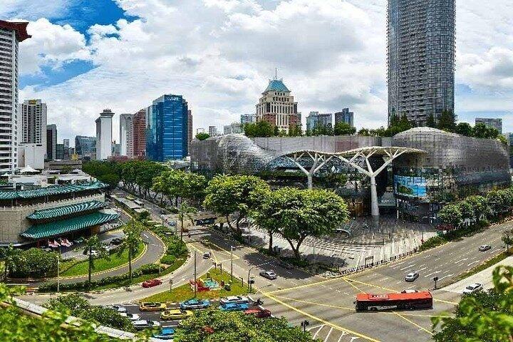 Singapore Shore Excursion: City Highlights from Cruise Terminal