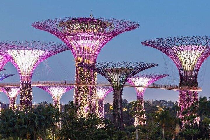 Singapore Shore Excursion: City Highlights from Cruise Terminal
