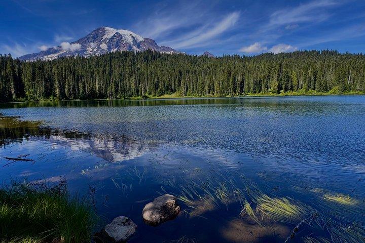 Mount Rainier Scenic National Park Day Tour in Seattle