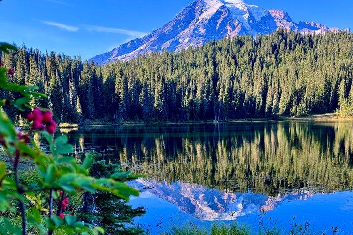 Mount Rainier Scenic National Park Day Tour in Seattle