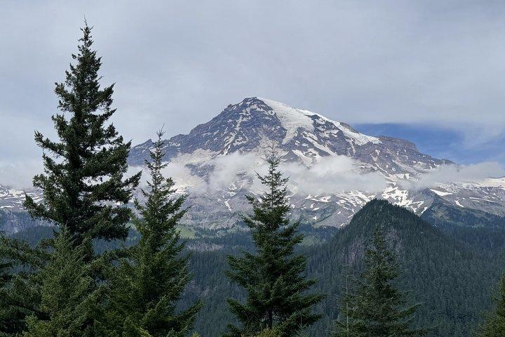 Mount Rainier Scenic National Park Day Tour in Seattle