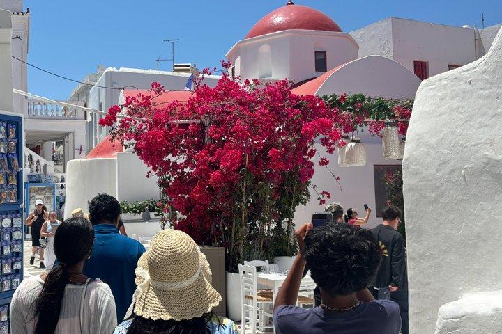 Mykonos 2 Hour Private Tour with a Local Expert