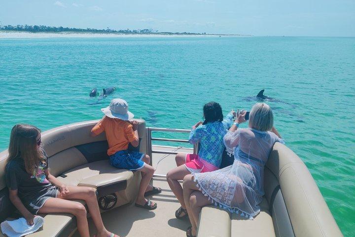 Private 3 Hours Dolphin Tour to Shell Island in Panama City Beach