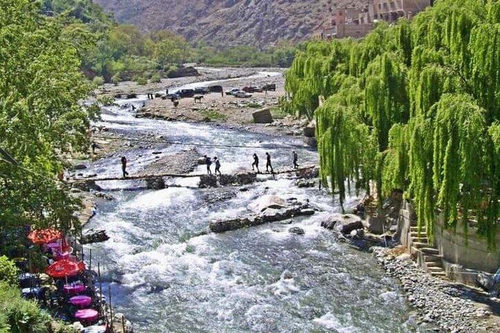 Marrakech: Ourika Valley & Atlas Tour with Lunch