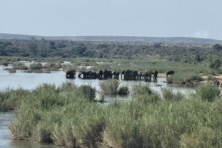 Kruger Park 1-day Safari from Maputo (Open-backed Safari Vehicle)