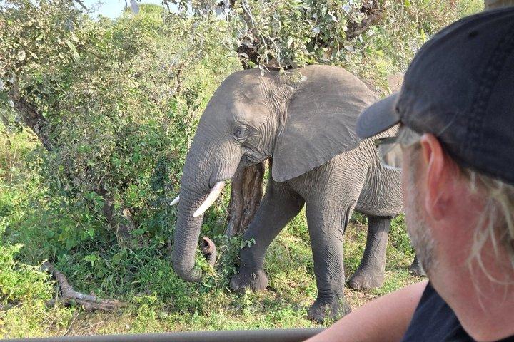 Kruger Park 1-day Safari from Maputo (Open-backed Safari Vehicle)