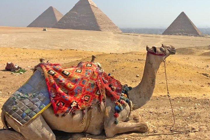 Private Giza Pyramid Complex Experience in Cairo