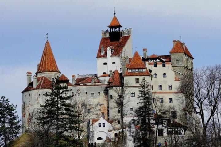 Bears Sanctuary, Dracula's Castle & Brașov City, Small-group 7 p