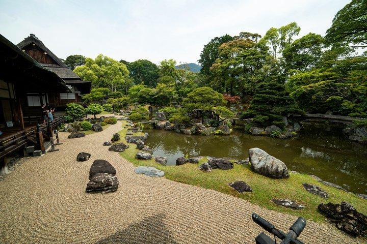 Kyoto Private Tour Early Morning Arashiyama Bamboo Forest