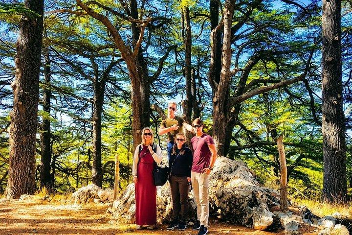 Private Beiteddine, Barouk Cedars & Deir el Qamar | Chouf Tour