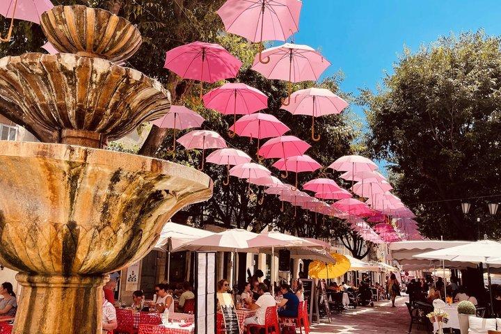 Full-Day Shared Tour Provence and its Medieval Villages from Nice