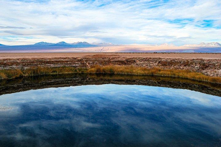 Half-Day Tour to Laguna Cejar, Ojos del Salar and Tebenquiche